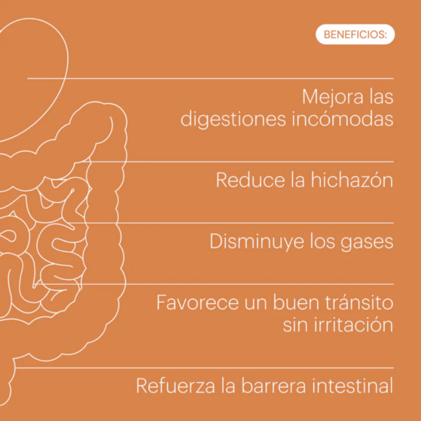 beneficios de be levels digestya