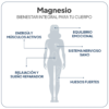 IVB Wellness Lab Magnesio Total 60 Cápsulas