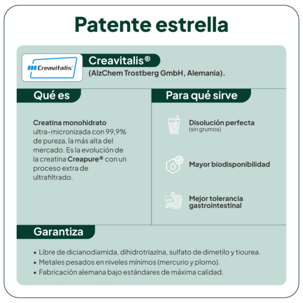 6 creatina ivb wellness