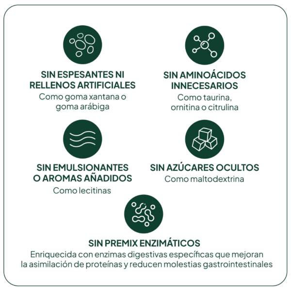IVB Wellness Lab Proteína Láctea con Enzimas Digestivas 750 g