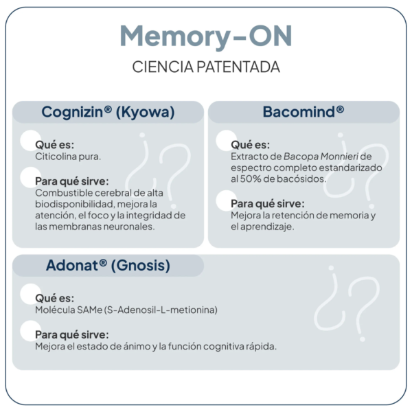 memory on ivb concentración