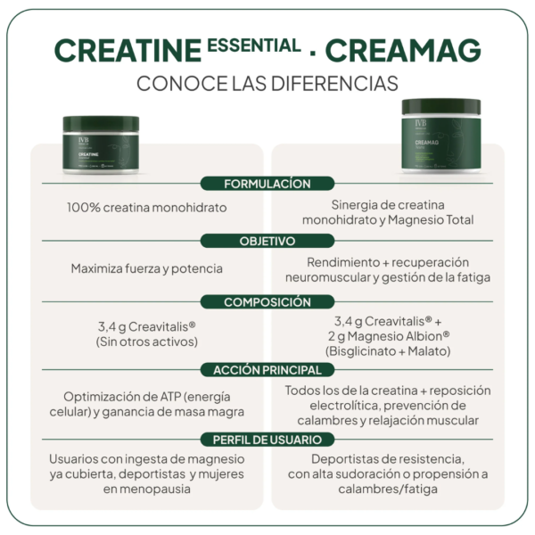 67 IVB CREAMAG creatina y magnesio