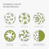 pack (59) Be Levels Clean Gut Limpieza Intestinal y Microbiota 45 perlas